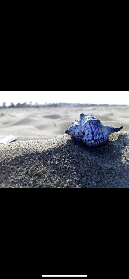 Cd Romanello Barletta Dış mekan fotoğraf